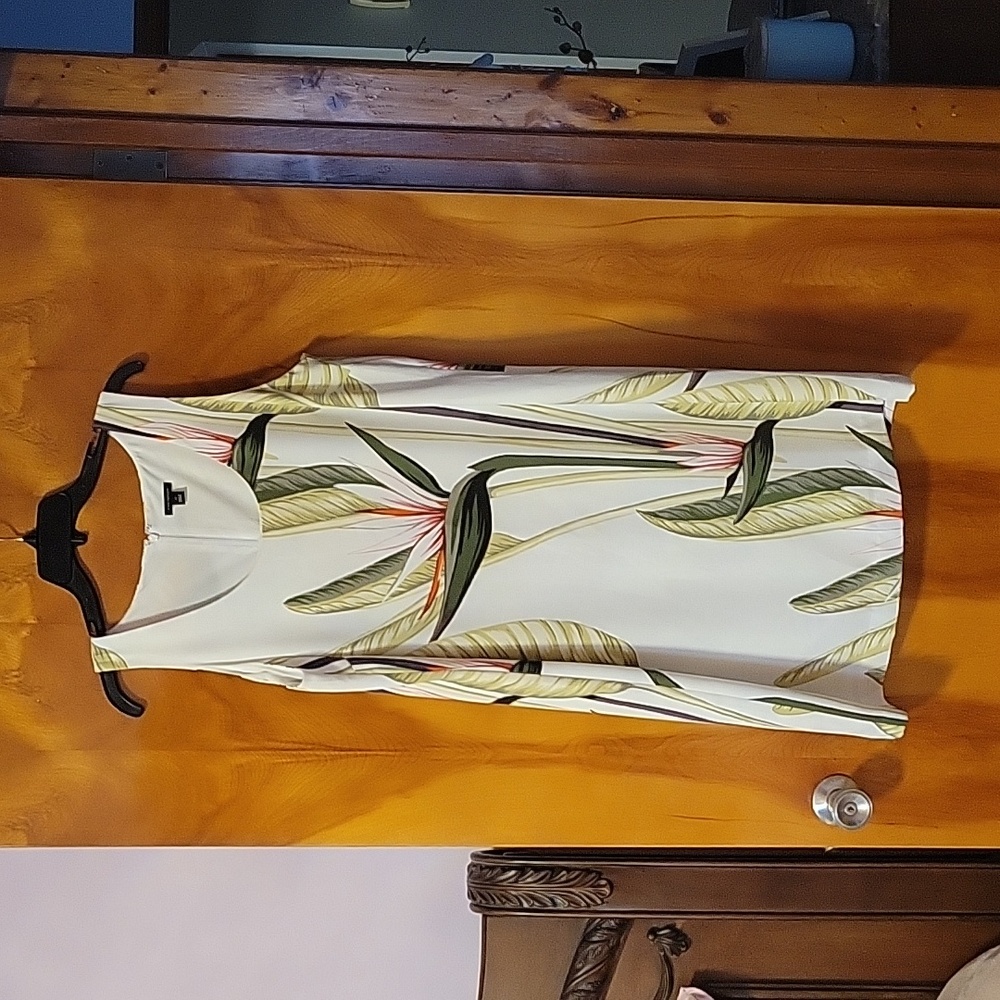 Ann Taylor Dress